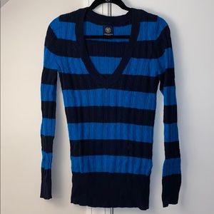 American Eagle Blue Striped V-Neck Knit Sweater